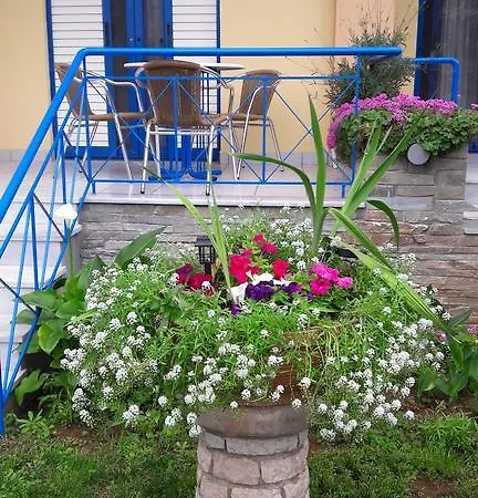 Leader Apartment