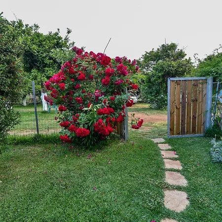 Leader Apartment Mytikas (Epirus)